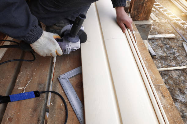 Best Fascia and Soffit Installation  in Holly Hills, CO